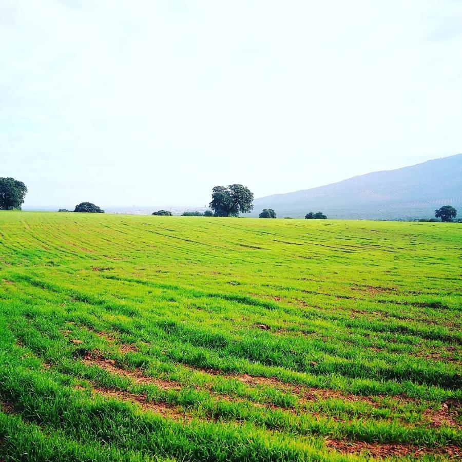 Finca El Vizconde Naturaleza Con Tus Hijos Arquillos Zewnętrze zdjęcie
