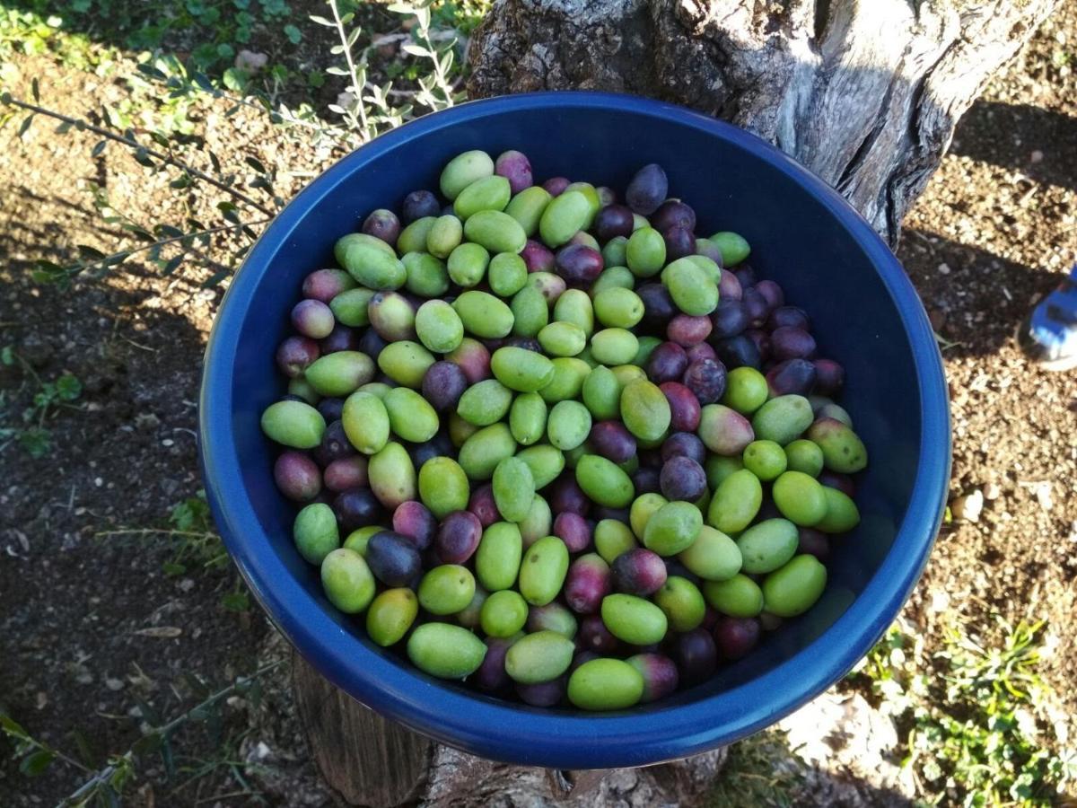 Finca El Vizconde Naturaleza Con Tus Hijos Arquillos Zewnętrze zdjęcie