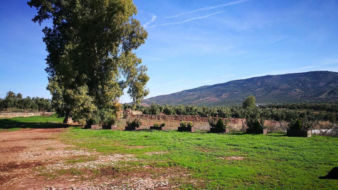 Finca El Vizconde Naturaleza Con Tus Hijos Arquillos Zewnętrze zdjęcie