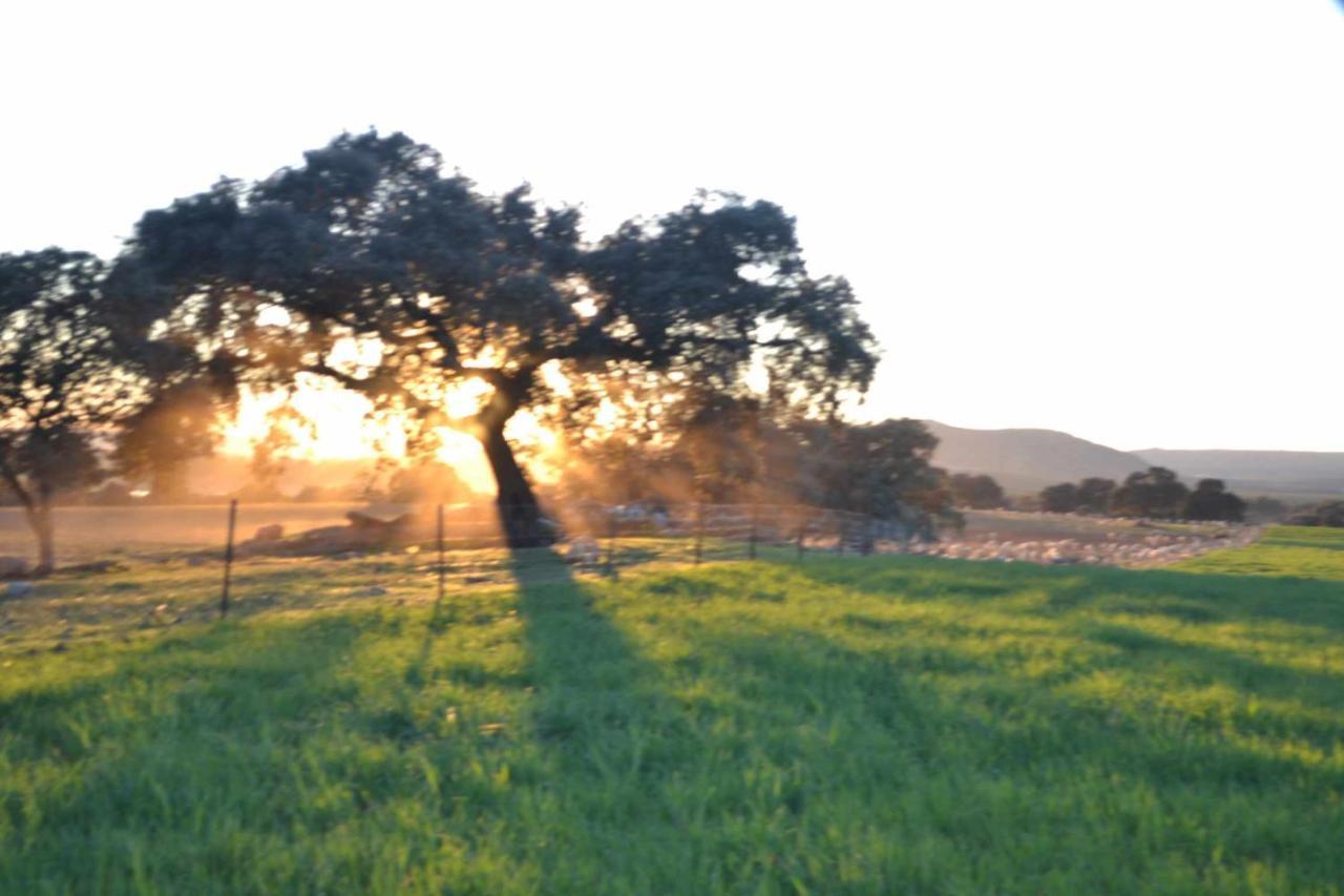 Finca El Vizconde Naturaleza Con Tus Hijos Arquillos Zewnętrze zdjęcie