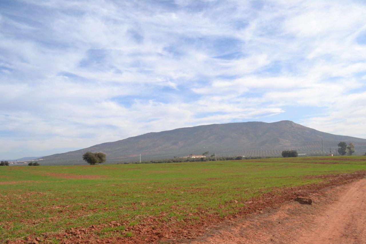 Finca El Vizconde Naturaleza Con Tus Hijos Arquillos Zewnętrze zdjęcie
