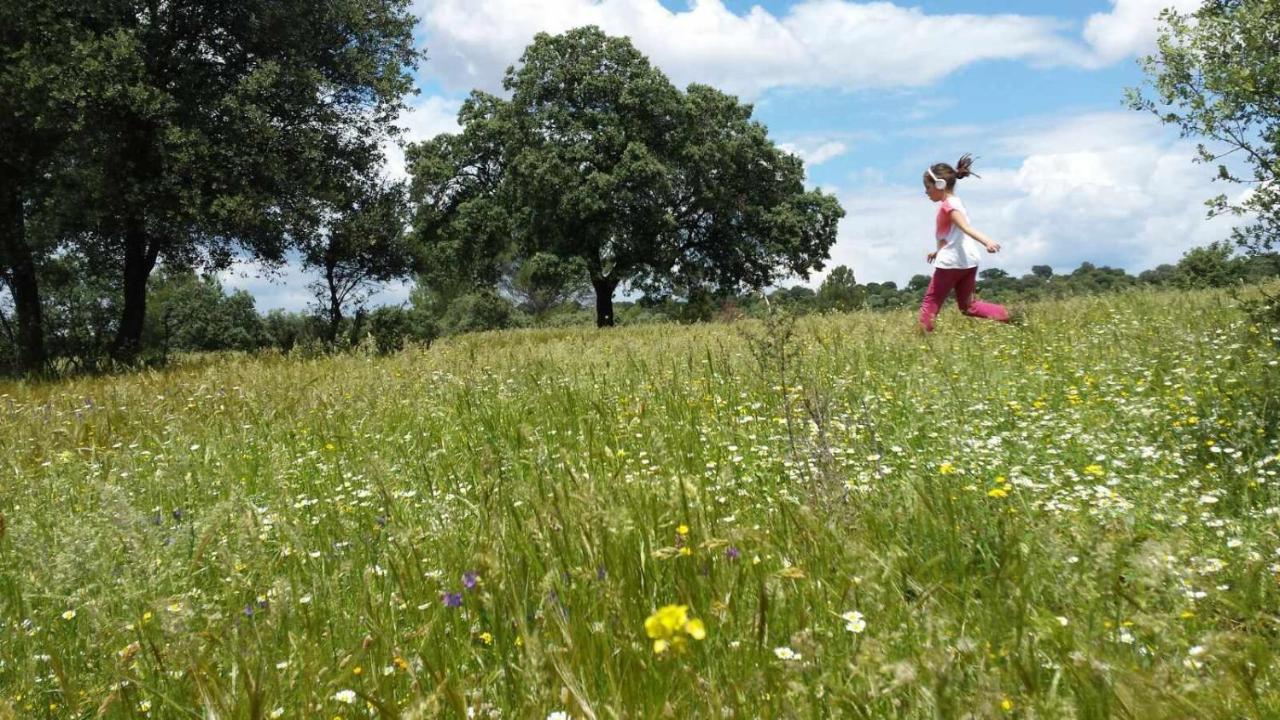 Finca El Vizconde Naturaleza Con Tus Hijos Arquillos Zewnętrze zdjęcie