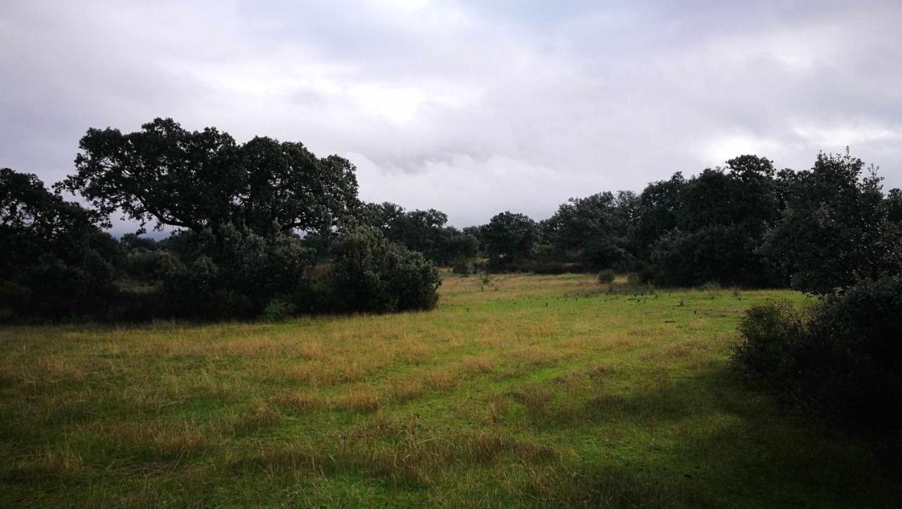 Finca El Vizconde Naturaleza Con Tus Hijos Arquillos Zewnętrze zdjęcie