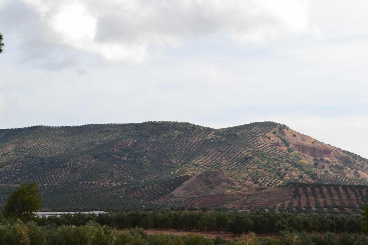 Finca El Vizconde Naturaleza Con Tus Hijos Arquillos Zewnętrze zdjęcie