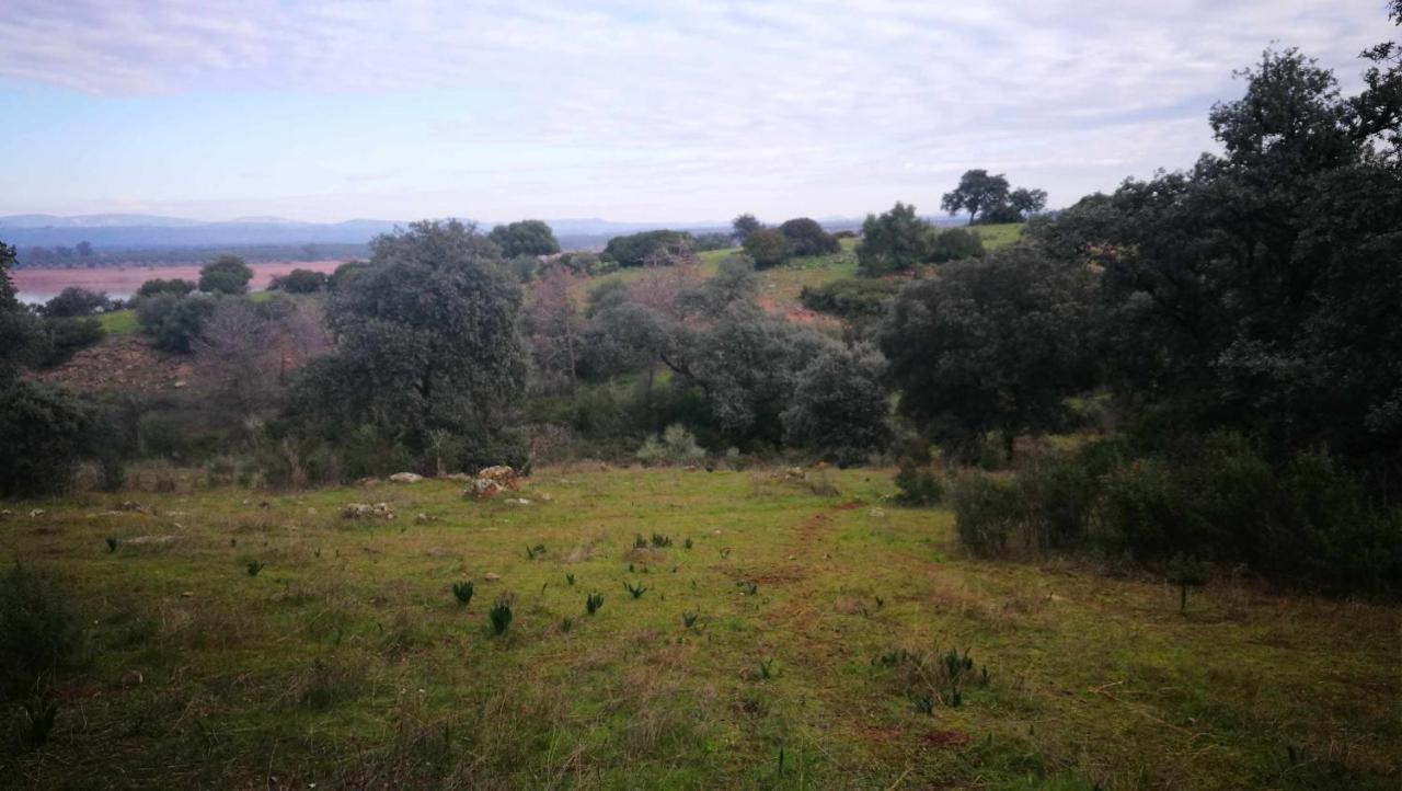 Finca El Vizconde Naturaleza Con Tus Hijos Arquillos Zewnętrze zdjęcie