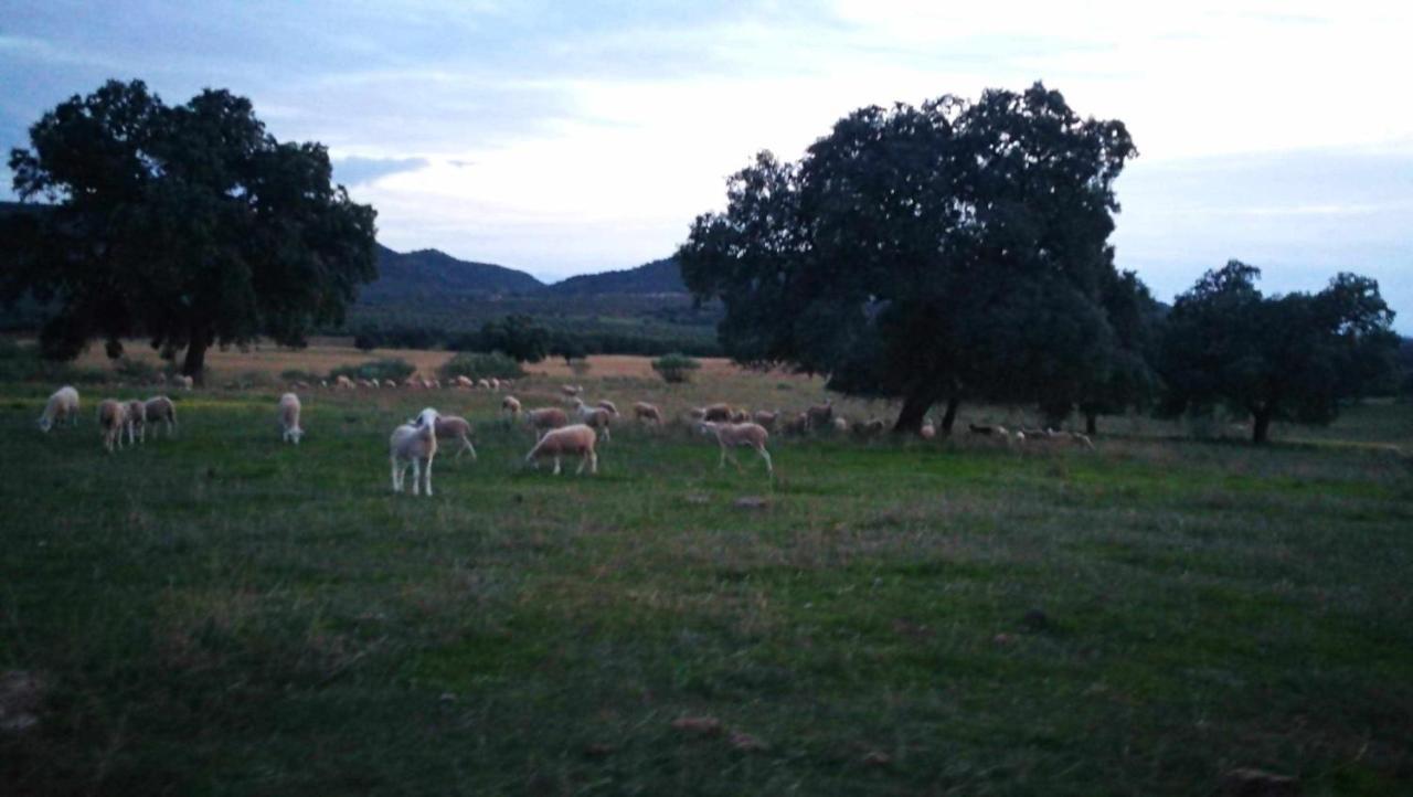 Finca El Vizconde Naturaleza Con Tus Hijos Arquillos Zewnętrze zdjęcie
