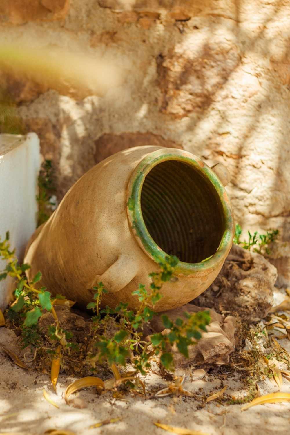 Finca El Vizconde Naturaleza Con Tus Hijos Arquillos Zewnętrze zdjęcie